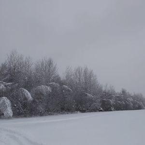 Meet your Posher, Sonia